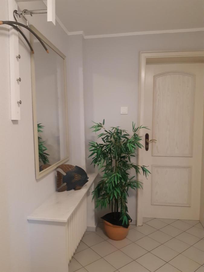 Ferienwohnung am Ölsbach Mudersbach Exterior foto